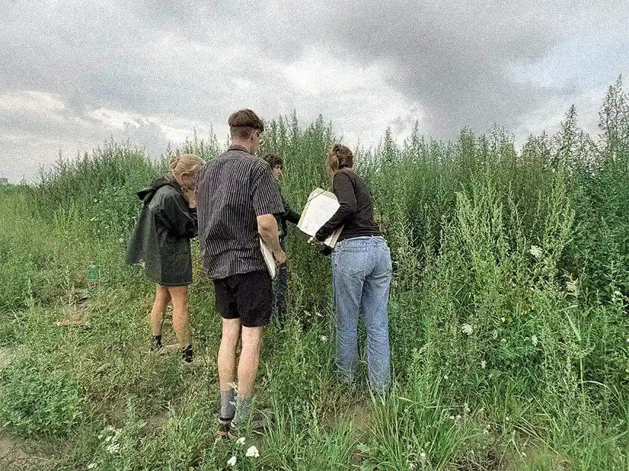 Madita Kümmeringer, Paul Katterl, Marcella-Malin Brunner and Gabriele Sturm identifying plant communities at the pile.